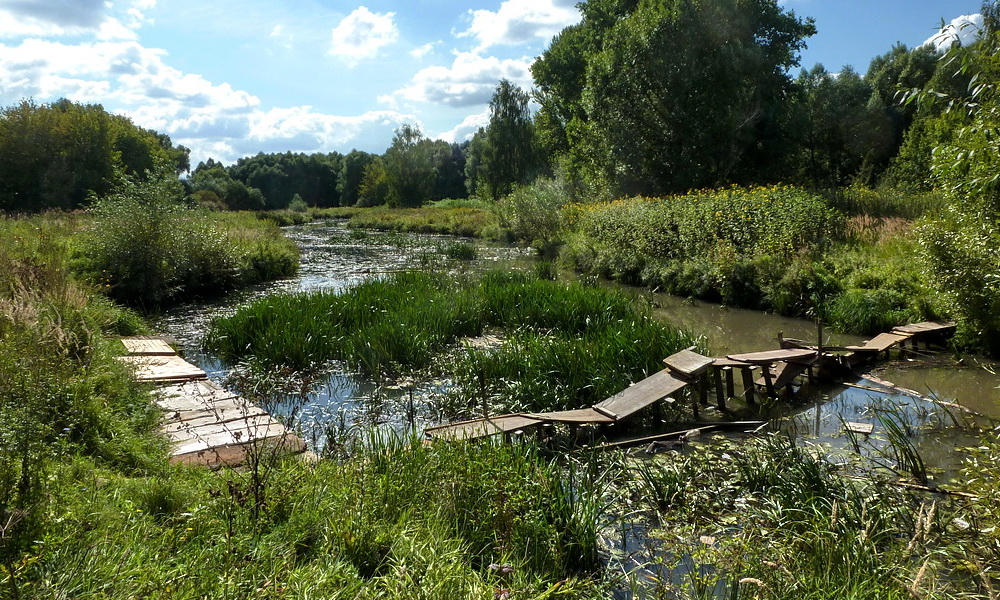 Устье реки Химки в парке "Москворецкий"